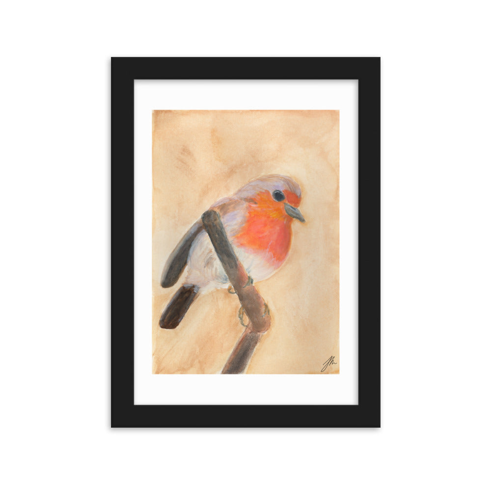 Red Breasted Wren Framed matte paper poster