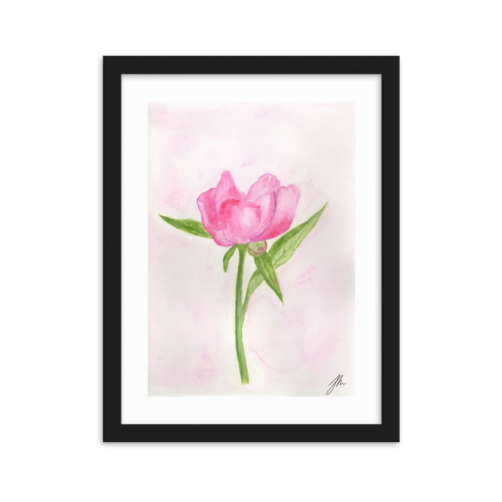 Pink Peony Framed matte paper poster