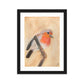 Red Breasted Wren Framed matte paper poster