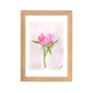 Pink Peony Framed matte paper poster