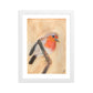 Red Breasted Wren Framed matte paper poster