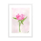 Pink Peony Framed matte paper poster