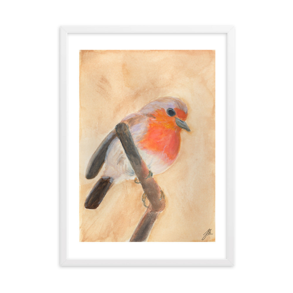 Red Breasted Wren Framed matte paper poster